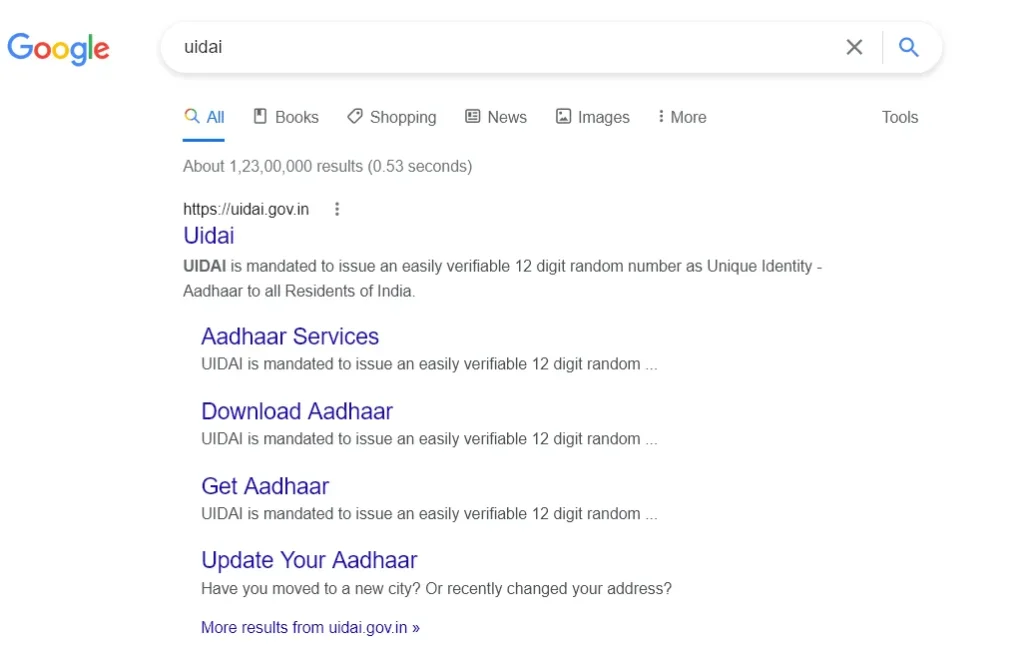 UIDAI Google Search